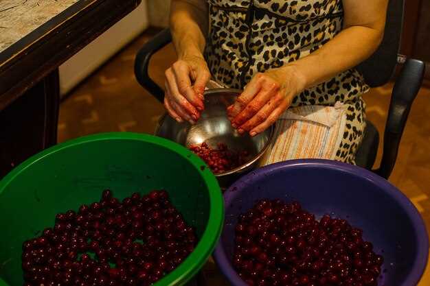 Обработка и хранение: советы по поддержанию качества и аромата вина