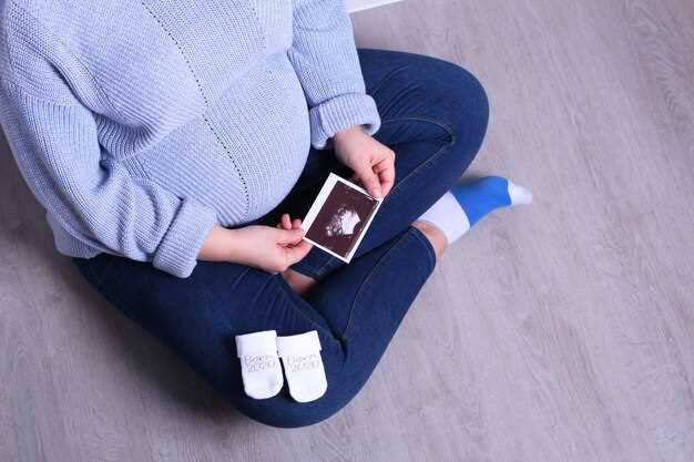 Образование и функционирование нервной системы