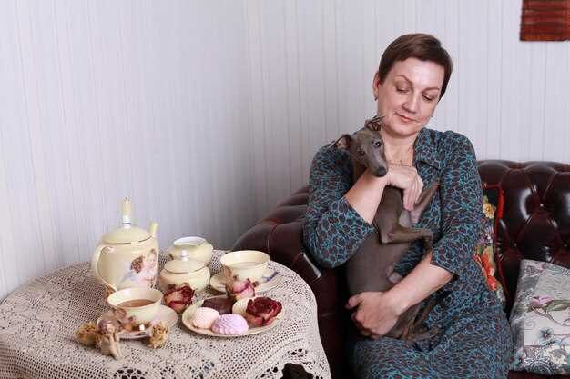 Модели и тенденции изменения форм в современном языке